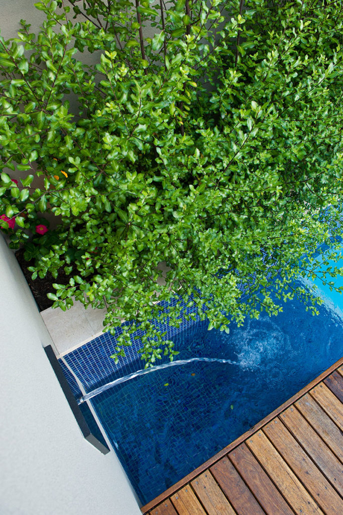 swimming pool with water spout and plants