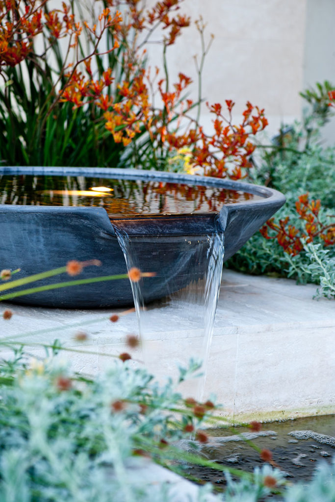 overflowing waterbowl in dalkeith garden