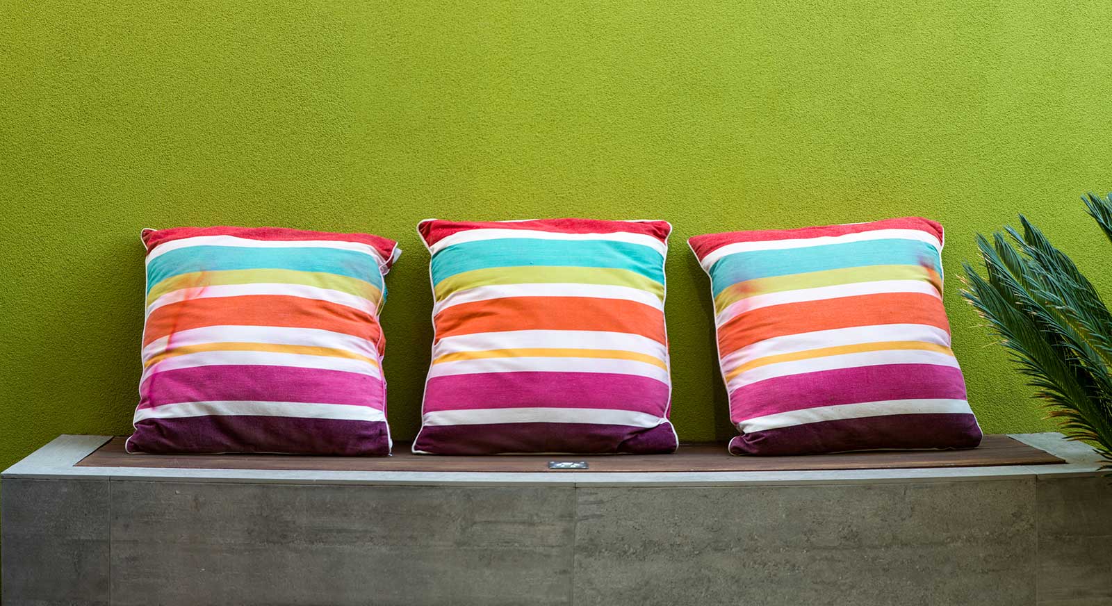 daybed with bold coloured wall and dado finish